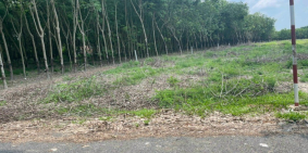 Bán đất ấp Bưng Rò, xã Hoà Hội, MẶT TIỀN ĐƯỜNG NHỰA, 13x30m, giá chỉ 840 triệu