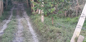 Đất nền gần chợ săm bua gần ngã tư săm bua