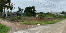 Cho thuê đất dài hạn (nhà vườn, trồng cây...)