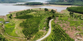 Siêu Vip! Lô đất 9.2 sào view hồ rất đẹp.Đường nhựa liên xã, sổ sẵn, giá đầu tư.