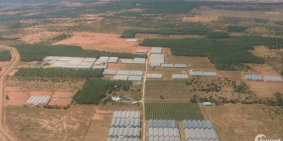 Bán 8459m2 đất sào sông luỹ cạnh farm bình sơn đường trấn khánh linh  0938677909