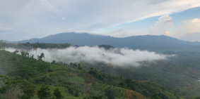 Mặt tiền Quốc lộ sẵn 100m2 thổ cư trung tâm Tà Đùng