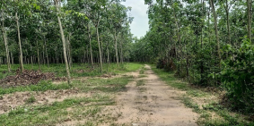 Kẹt tiền bán gấp lô đất Dầu Tiếng gần trung tâm xã Minh Thạnh 1200m2 chỉ 650tr