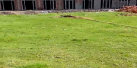 Cần bán 115m2 đất Đức Hòa Đông - Nở hậu - Dân cư đông -Chốt 1ty1