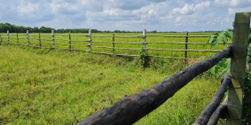 Bán đất vườn giá rẻ chỉ 1,85tr/m2 ở củ chi, diện tích lên đến 1118m2