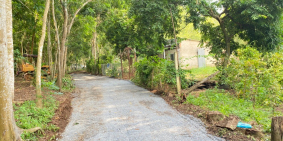 SIÊU PHẨM 1 SẸC BÀU CẠN , LONG THÀNH GIÁ RẺ