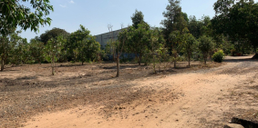 SIÊU PHẨM MẶT TIỀN ĐƯỜNG TUYẾN SỐ 2 , SÂN BAY LONG THÀNH GIÁ CHỈ 3,2TR/M2