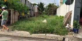 chính chủ bán gắp lô đất tân kiên bình chánh 100m2 đường 10m giá 1tỷ550 SHR