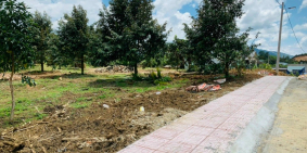 1100m2 có 200 thổ, đường nhựa vào tận đất vườn sầu riêng 7 năm tuổi xd tự do