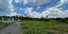 ĐẤT DÂN PHƯỚC BÌNH MÀU HÒNG CÓ SẴN 150 ONT , GIÁ CHỈ 2,3 TỶ/SÀO