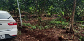 Bán vườn Bưởi hơn 1 sào xã Cây Gáo, Trảng Bom, Đồng Nai