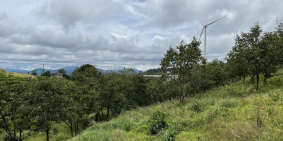 Bán Đất ngang khủng 38.7 x 143.4 . Trạm Hành, Đà Lạt Lâm Đồng,16.9 tỷ TL