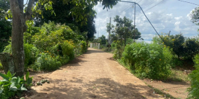 Bán 6x21 ( 100m2 thổ cư) tại Tân Hội, Đức Trọng - cách DT724 chỉ 240m