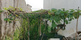 Bán đất HXH Dương Quảng Hàm, P.6, Gò Vấp, 4x27m, vuông vức, 68tr/m2