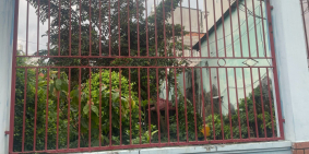 Bán đất đường số 8, P11, Gò Vấp, 5x20m, 5.15 tỷ