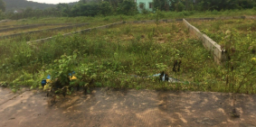 Hót:110.5 m2, 2 mặt tiền, có sẵn 36 m2 đất ở,Cách DT45 100m,cách biển 1.5km