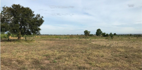 Bán Gấp Lô Đất Gần quốc Lộ 1A Ngay Thị Trấn Lương Sơn Tỉnh Bình Thuận