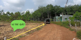 Đất Minh Hòa Dầu Tiếng gần hồ thích hợp làm nhà vườn nghĩ dưỡng 2600m2 chỉ 1ty9