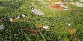 10X52M  ĐẤT Ở, VEN ĐÀ LẠT , VIEW NGHỈ DƯỠNG CHĨ 890tr