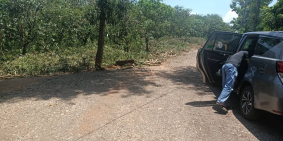 Bán nhanh vườn xoài gia đình đã có thể thu hoạch từ 800tr/sào ngay khu dân