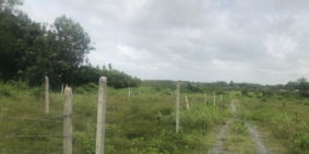 Đất chính chủ sỗ sách chỉnh tề khu vực quy hoạch đất ở!!! Đất cln