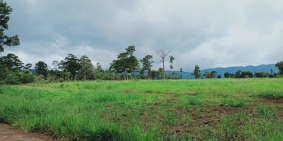 CHÍNH CHỦ BẤN ĐẤT BẢO LÂM - LÂM ĐỒNG