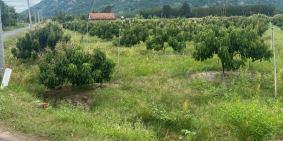 Đất đẹo giá rẻ Dương Minh Châu - Tây Ninh