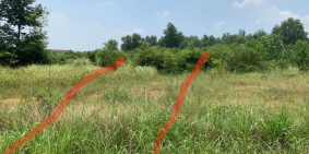 bán đất khu vực nhơn trạch giá rẻ