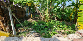 Chính chủ cần bán 65m2 - Full Thổ Cư