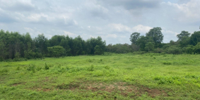 BÁN 3182M2 ĐẤT PHỦ HÒNG CÓ 150 THỔ CƯ CÁCH SÂN BAY LONG THÀNH CHỈ 7KM