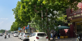 Bán nhà mặt phố Hồng Tiến ô tô vỉa hè vị trí quá đẹp mặt tiền mỹ mãn