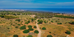 Đất Vườn Điều cách Biển 2.8km - Gần nút giao Cao Tốc Phan Thiết 6km