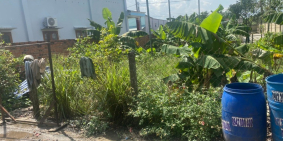 Đất thị trấn Hiệp Phước, hẻm 1 sẹc dường Hùng Vương, 10x22m, shr có thổ sẵn.