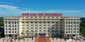 Nền đẹp nở hậu phía sau Đại học Nam Cần Thơ