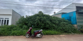 Bán lô đất 5x22m (85m²thổ cư) ngay trung tâm xã Liên Hiệp, Đức Trọng gía 1.6 tỷ