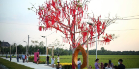 Nền thổ cư lộ ô tô ngang khu di tích Phố Ông Lang