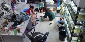 Nhà 4 tầng,ngang 5m,hẻm xe hơi tránh ngay LotteMart,P.10,GV:giá tốt