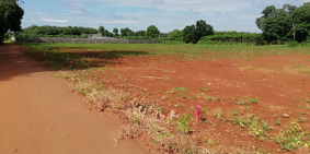 Đất nền mặt tiền tại Long Phước Bà rịa giá sốc!