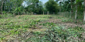 Đất Nền 1/ngắn Nguyễn Thị Rành 15x57 (thổ cư) cách Tỉnh lộ 7 1km Giá 4 Tỷ