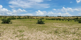 Tìm chủ mới cho 8500m2 Sông Lũy có hiển thị đường đi hiện hữu