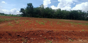 CHÍNH CHỦ CẦN RA LÔ ĐẤT TRUNG TÂM LONG PHƯỚC - TP BÀ RỊA