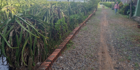 Mặt Tiền QL1a Hàm Mỹ. DT 1686m2  Chỉ Có 3tr9/1m2