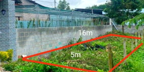 Kinh doanh thua lỗ cần bán rẻ lô đất trong KDC chợ Phú Hòa Đông 5x16 780tr