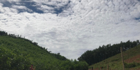 BÁN ĐẤT BIỆT THỰ KHÁNH ĐÔNG VIEW SIÊU ĐẸP TRÊN 1000M2 GIÁ CHỈ 1 TỶ