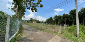 Bán nhanh vườn dừa view sông La Ngà. Giá chính chủ 885 triệu/1000m2