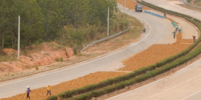 Cần Bán 450m2 Đất thổ cư tại Xã Bờ Y – Quốc lộ 40 – Ngọc Hồi - KonTum