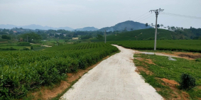 CẦN CHUYỂN NHƯỢNG GẤP 100% CP CÔNG TY TẠI MỸ BẰNG, YÊN SƠN,TUYÊN QUANG giá tốt