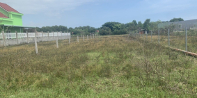 Đất Hồ Tràm ven biển DT 500m2 (10,5X48) có 100m2 thổ xây tự do liền kề TL328