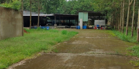 Cho Thuê Nhà Xưởng Chính Chủ Giá Rẻ Bình Phước