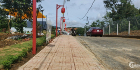 Mua đất thổ cư miễn gốc lãi 12 tháng có sẵn sầu riêng tại Tân Lạc Lâm Đồng